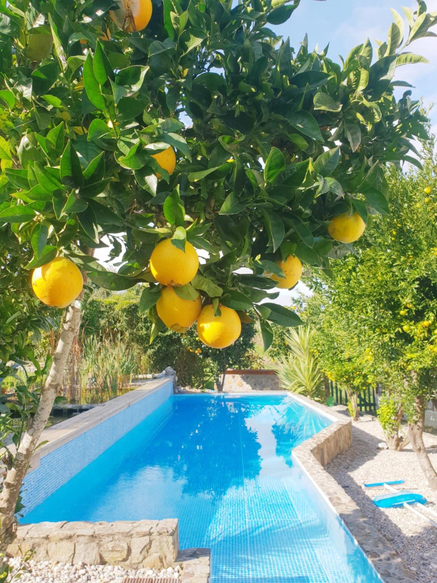 The Far End Surf House - Surf & Yoga Holidays Lourinhã Exterior foto